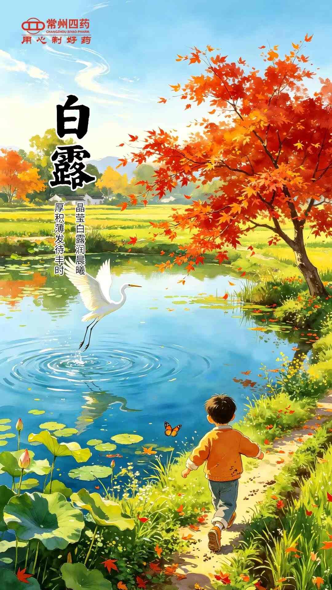 今日白露 | 所有美好，恰逢其時(shí)